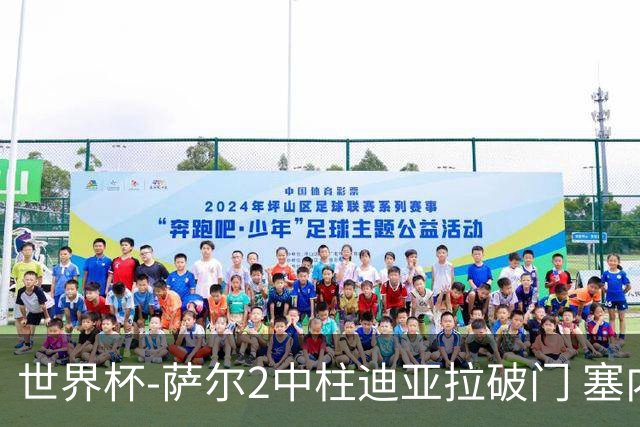 世界杯-萨尔2中柱迪亚拉破门 塞内加尔半场暂1-0比利时